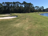 Jacksonville G&CC begins greens and bunkers renovation