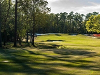 Andrew Green restores Donald Ross features at Cape Fear
