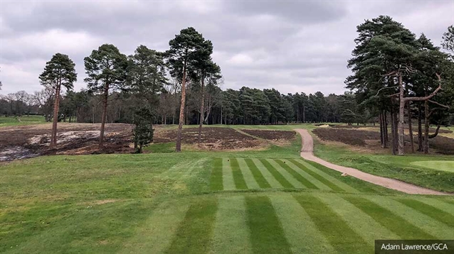 Major tree clearing programme at historic Woking