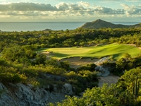Twin Dolphin Golf Club: Natural selection