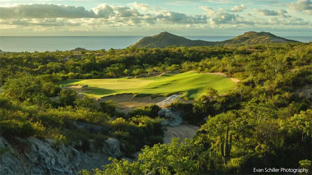 Twin Dolphin Golf Club: Natural selection