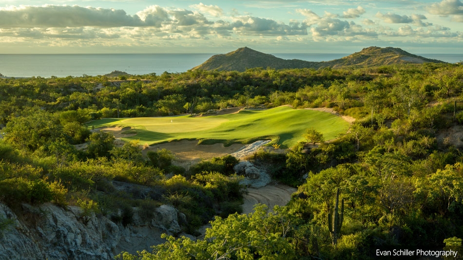 Twin Dolphin Golf Club: Natural selection