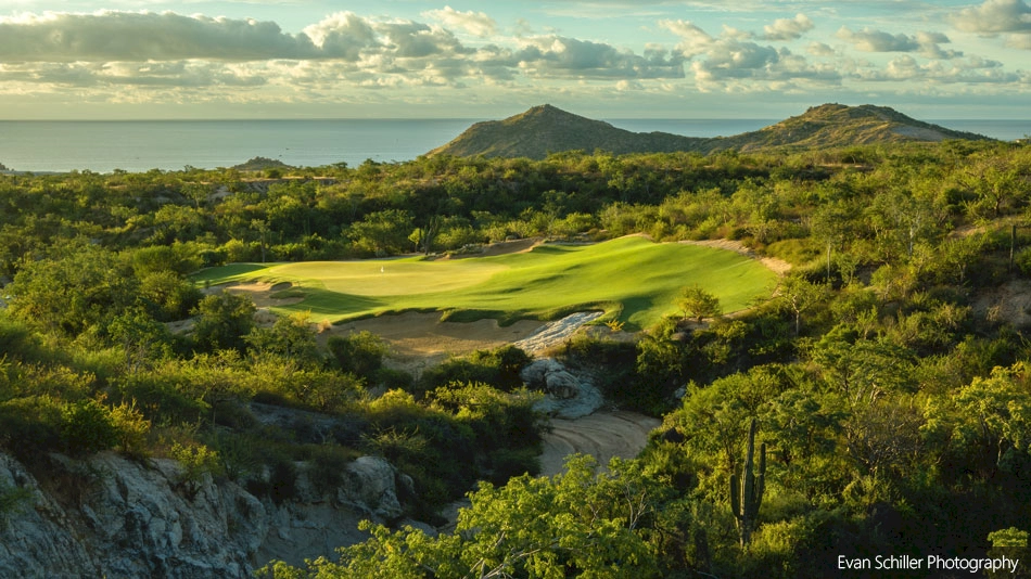 Twin Dolphin Golf Club: Natural selection