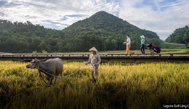 Holing out: Where the buffalo roam