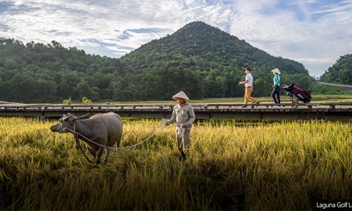 Holing out: Where the buffalo roam