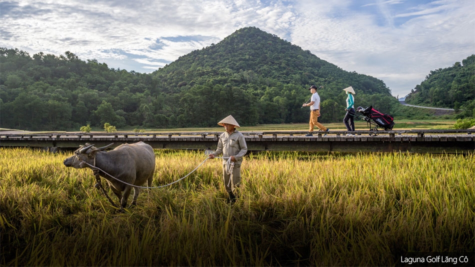 Holing out: Where the buffalo roam