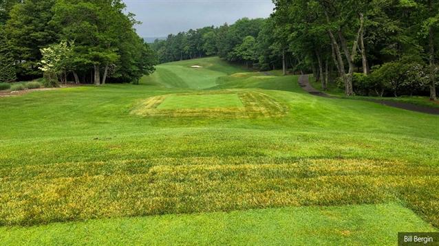 High Meadows work prompted by "damaging rain events"