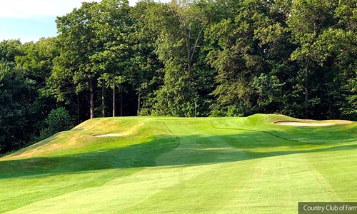 CC of Farmington hires Dusenberry and Ramsay to restore Emmett design