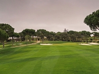 Real Club Puerta de Hierro under way with Colt restoration work