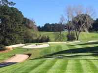 David Williams redesign progresses at Real Golf de Pedreña