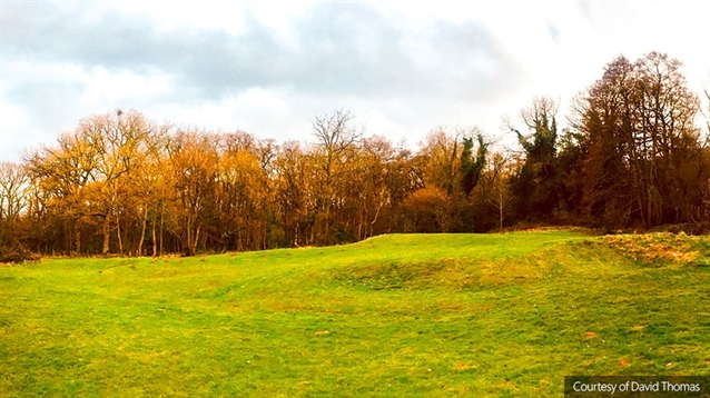 A golfing Sphinx