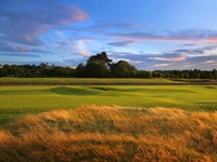 Tree-free golf