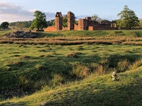 Gopher Watch Competition – July 2020