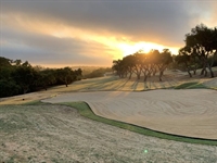 Turfgrass launches virtual agronomic consultancy service