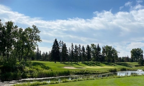 Canyon Meadows completes first phase of vegetation management plan