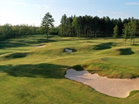 Forest Dunes: Destination evolution