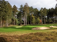 Winter work at Falkenstein focuses on greenside bunkering