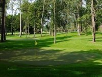 Designing for the short game