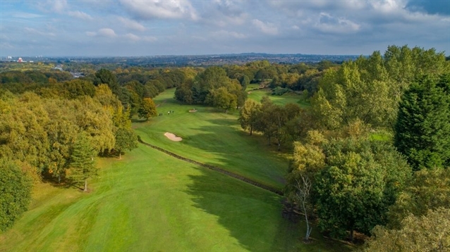 Sandwell Park kicks off renovation with woodland management