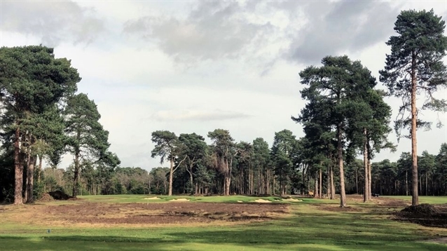 Three more holes complete as New Zealand progresses with restoration project