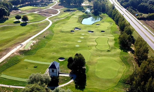 Tee line time