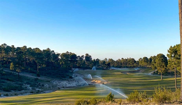 Comporta Dunes: Back from the dead