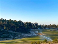 Comporta Dunes: Back from the dead