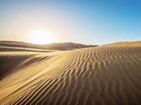 Grand sand designs