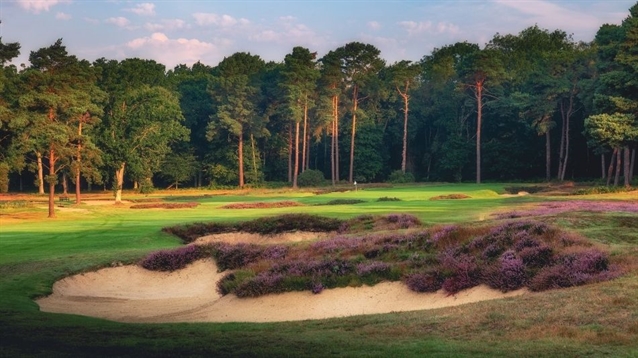 Woking Golf Club completes first phase of forward tees project