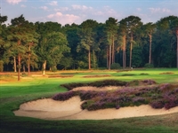 Woking Golf Club completes first phase of forward tees project