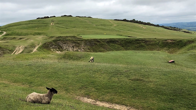 Gopher Watch Competition – July 2021