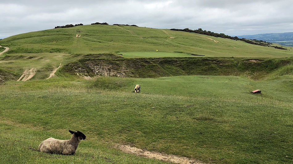 Gopher Watch Competition – July 2021