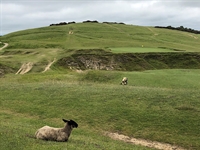 Gopher Watch Competition – July 2021