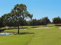 Westhaven GC set to reopen following greens project by Billy Fuller