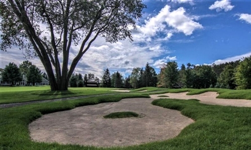 Forestry management lays foundation for Crystal Mountain renovation