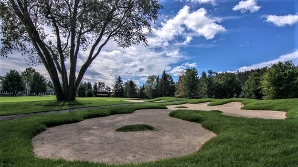 Forestry management lays foundation for Crystal Mountain renovation
