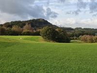 Ken Moodie continues to progress heathland restoration work at Pleasington