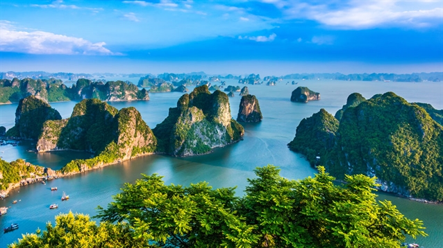 Vingroup selects design team for new courses at Ha Long Bay