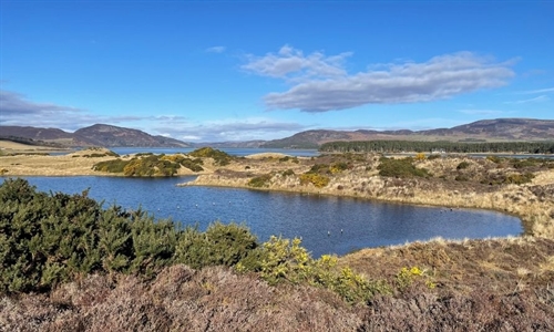 Coul Links project resurfaces with submission of scoping application