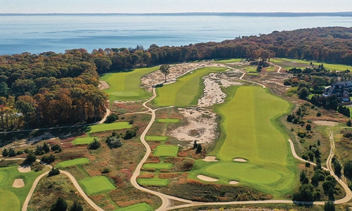 Fescue, fine or foe?