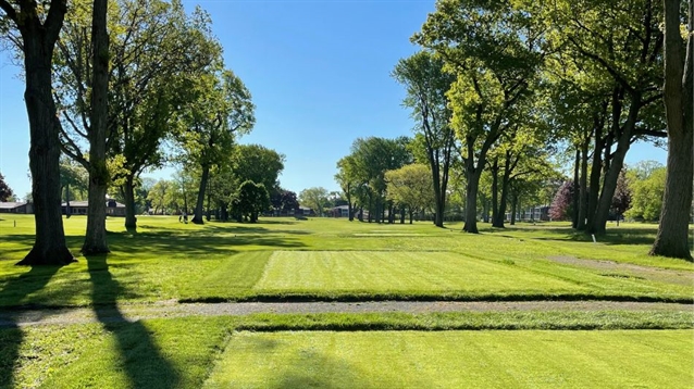 David Savic completes tee project at Port Huron