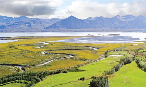 Can golf courses earn money from carbon?
