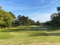Chris Wilczynski develops renovation master plan for Killearn