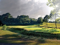 Losing the crutch: holes without bunkers
