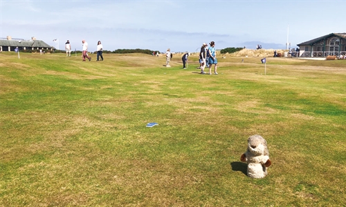 Gopher Watch Competition – October 2022
