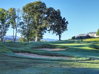 Mike Young tackles seven more holes at Johnson City