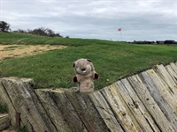 Gopher Watch Competition – January 2023