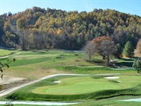 Waynesville to reopen in summer following Bobby Weed redesign