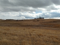 New public course to be built on Colorado dairy farm