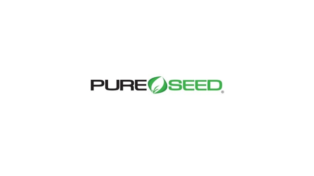 Pure Seed